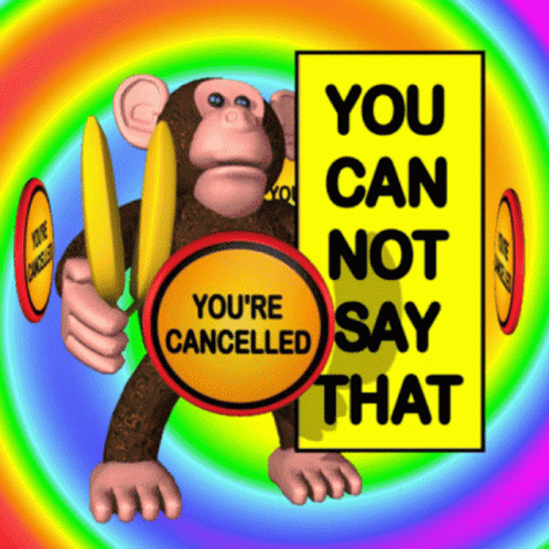You Can Not Say That Youre Cancelled GIF - You Can Not Say That Youre Cancelled You Are Cancelled GIFs