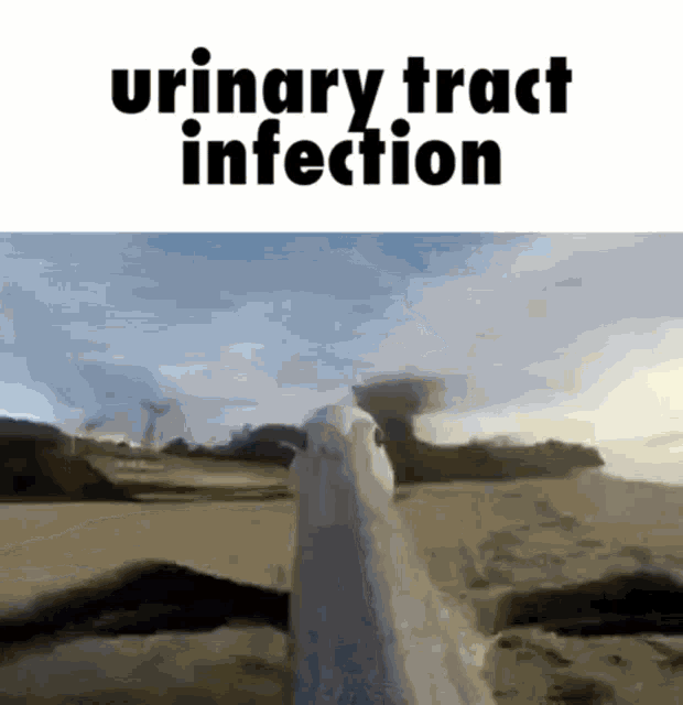Urine Urinary Tract GIF - Urine Urinary Tract Urinary Tract Infection GIFs