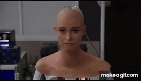 Silicon Valley Fiona GIF - Silicon Valley Fiona Robot Face GIFs