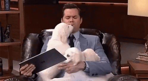 Rannells Andrew Puppies GIF - Rannells Andrew Puppies GIFs