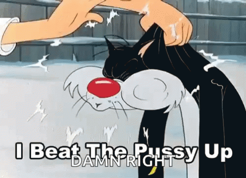 Sylvester Beat GIF - Sylvester Beat Pussycat GIFs