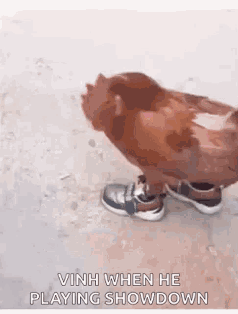 Vinh Chicken GIF - Vinh Chicken Showdown GIFs