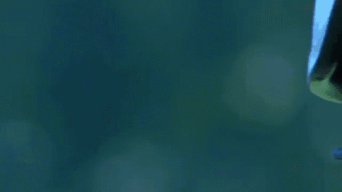a close up of a person 's face with blue paint