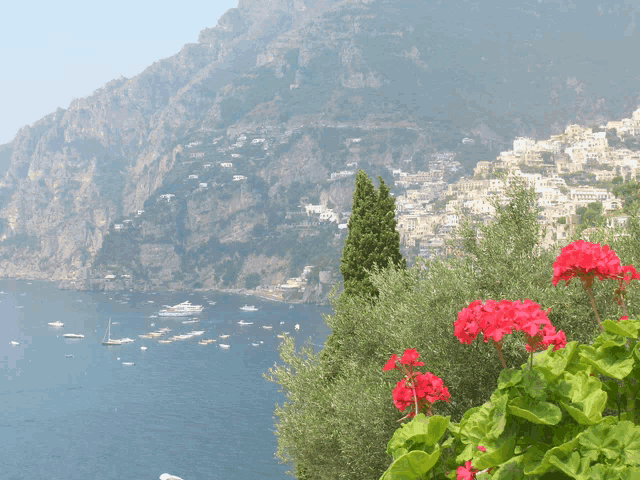 a view of a city with boats in the water and mountains in the background