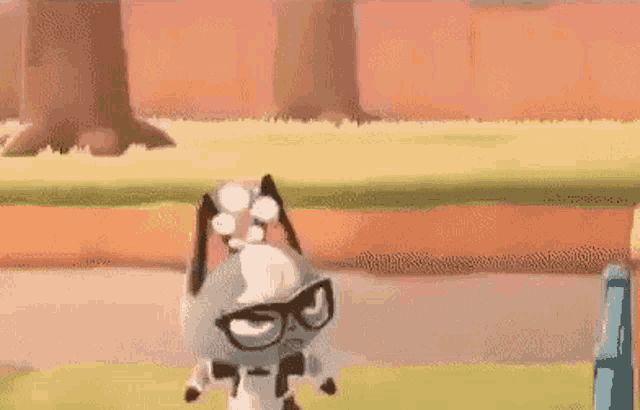 a cat wearing glasses and a flower on its head is standing on a grassy field .