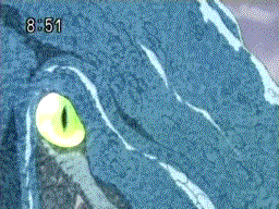 a close up of a cat 's eye with the time of 8:51 on the bottom