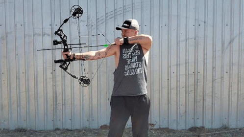Bow Archery GIF - Bow Archery GIFs