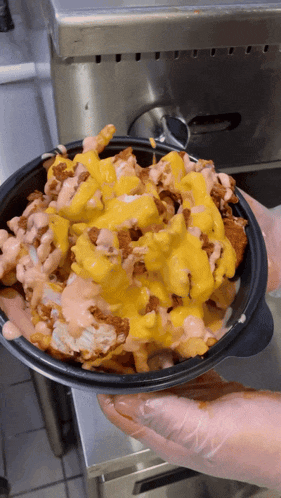 a person is holding a bowl of french fries with cheese and sauce