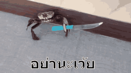 a crab holding a knife with a blue stripe on it 's arm