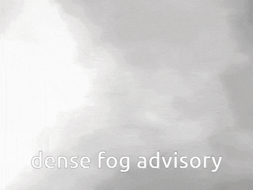 a cat is walking through dense fog with the words dense fog advisory above it