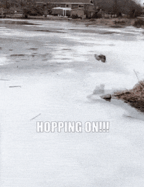 a duck is flying over a frozen lake with the words hopping on written below it