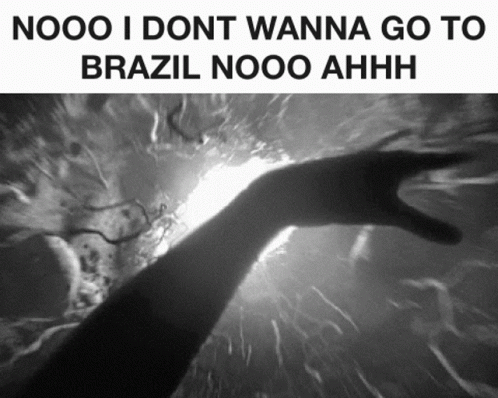 Brazil Youre Going To Brazil Hole GIF - Brazil Youre Going To Brazil Hole Falling GIFs