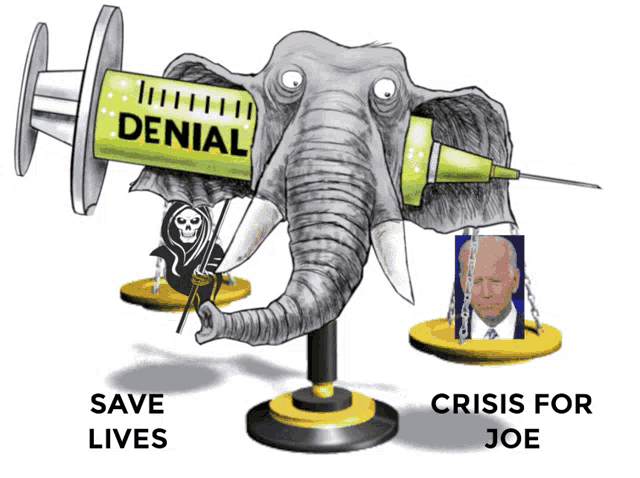 an elephant holding a syringe with denial written on it
