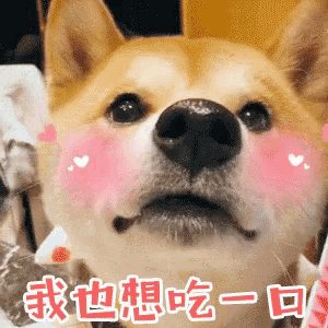 a dog with pink hearts on its cheeks and chinese writing