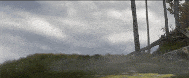 a landscape with trees and grass and a cloudy sky in the background