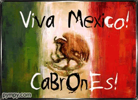 a sign that says " viva mexico cabrones " on it