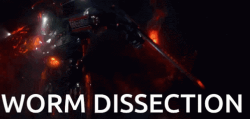 Worm Dissection GIF - Worm Dissection GIFs