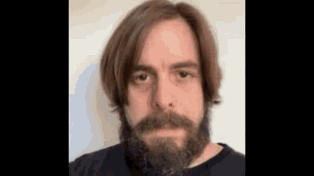 a man with a beard and long brown hair is looking at the camera .