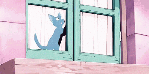Cat Scratch GIF - Cat Scratch Window GIFs