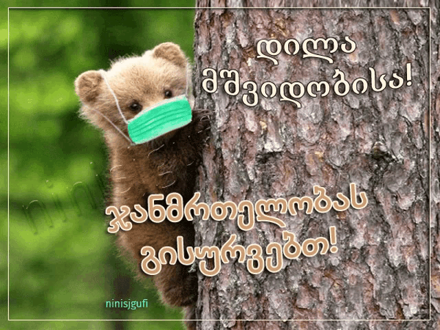 a teddy bear wearing a face mask is standing next to a pine tree