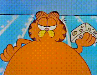 garfield holding a piece of cheese in his hand
