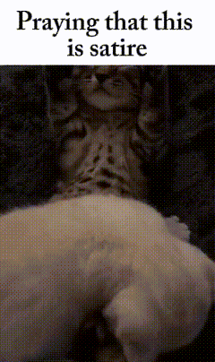 a picture of a cat with the words praying that this is satire above it