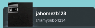 jahomezb123 and lamyouboi1234 are displayed on a gray background