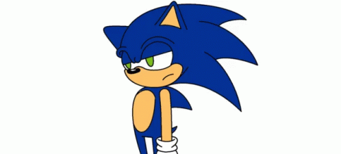 Sonic Not Happy GIF - Sonic Not Happy Really GIFs
