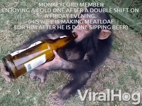 Monkeycord Beer GIF - Monkeycord Beer Monkey GIFs