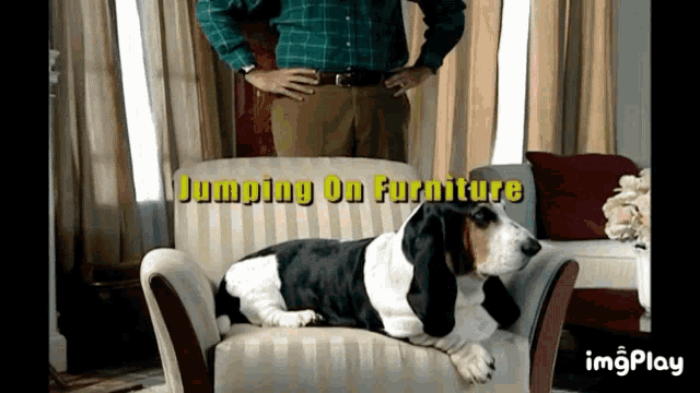 Dissing Your Dog Will Ferrell GIF - Dissing Your Dog Will Ferrell Snl GIFs