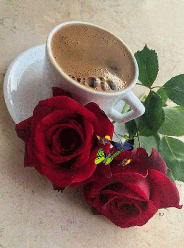 Dobro Jutro Good Morning GIF - Dobro Jutro Good Morning Coffee GIFs
