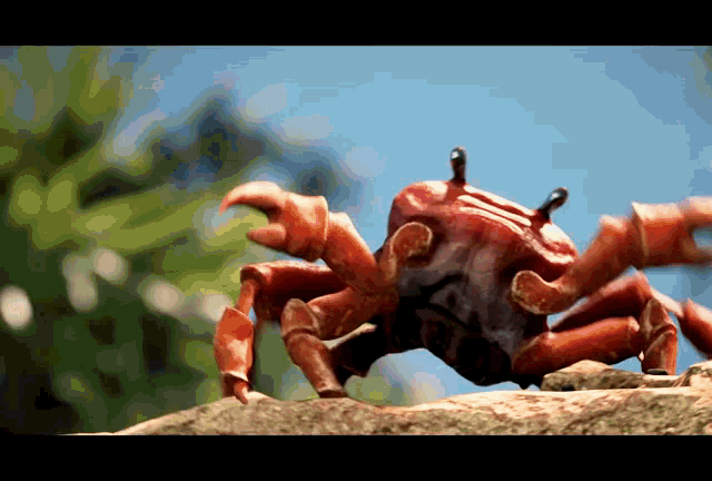 Daemon Targaryen Crab Rave GIF - Daemon Targaryen Daemon Crab Rave GIFs