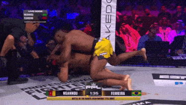 a fight between ngannuu and ferreira takes place in a ring