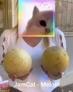 a woman is holding two melons in front of a picture of a dog that says jamcat - meloni