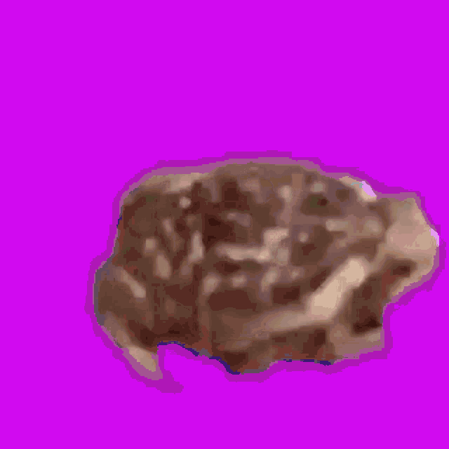 Spinfrog Pro GIF - Spinfrog Pro Frog GIFs