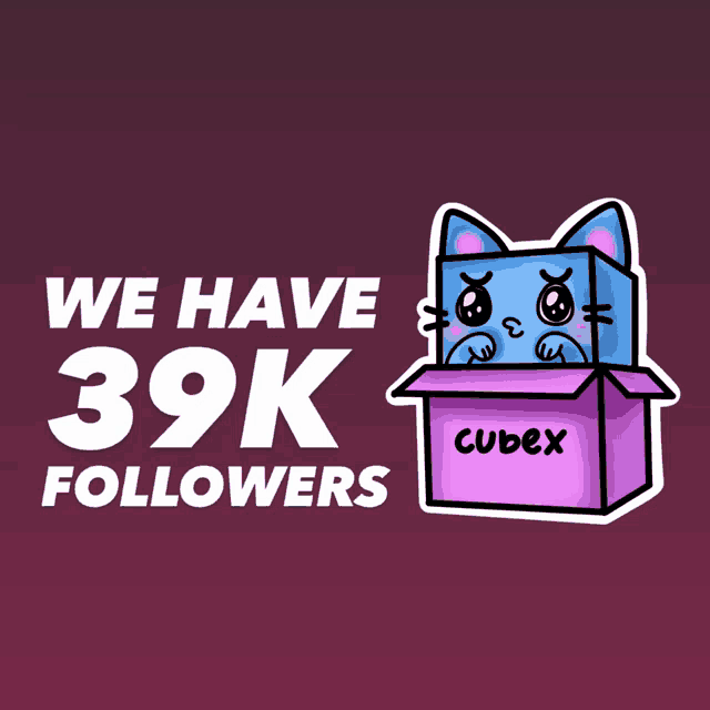 a poster that says we have 39k followers and a cat in a box