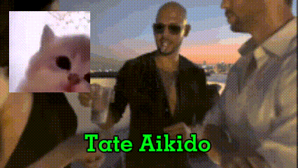 a man smoking a cigarette next to a cat and the words tate aikido on the bottom