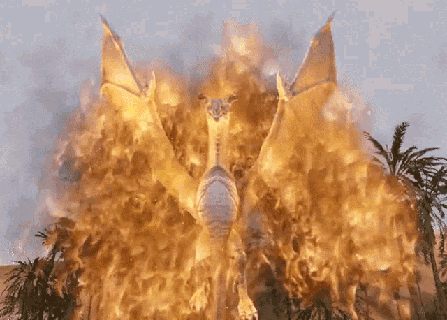 a dragon is surrounded by flames in a video game