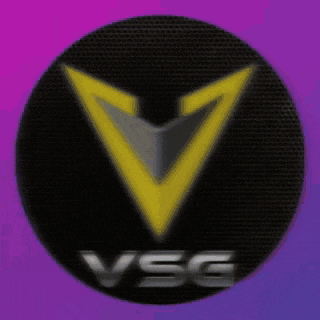 a black circle with a yellow triangle and the word vsg