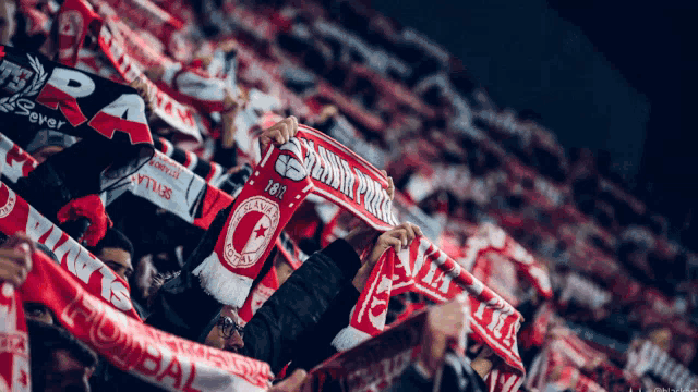 a stadium full of people holding up scarves with the number 18 on it