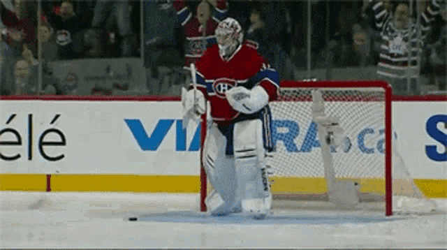 a hockey goalie stands in front of a sign that says ' ele '