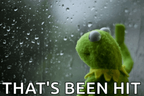 a kermit the frog looking out a window with the words that 's been hit below him