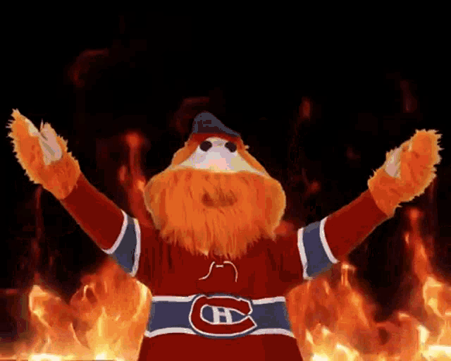 Montreal Canadiens Youppi GIF