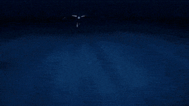 a cartoon character is flying through the air with a sword in her hand .