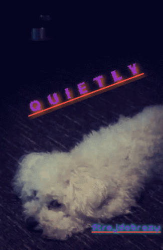 Dog Strejdobrazy GIF - Dog Strejdobrazy Quiet GIFs