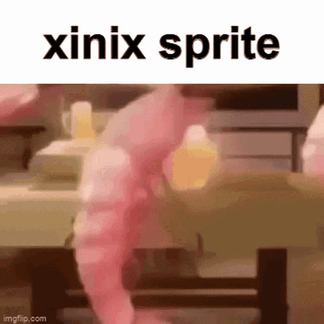 Xinix Sprite GIF - Xinix Sprite Tmodloader GIFs