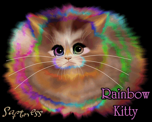 a colorful cat with the name rainbow kitty on it