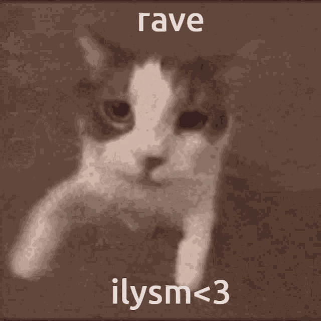Cat Kiss Rave GIF - Cat Kiss Rave Love GIFs