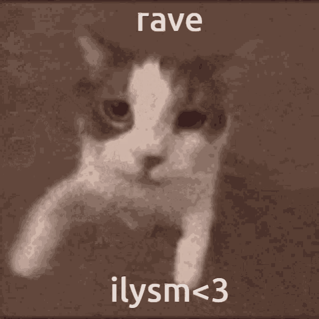 a picture of a cat with the words rave and ilysm < 3