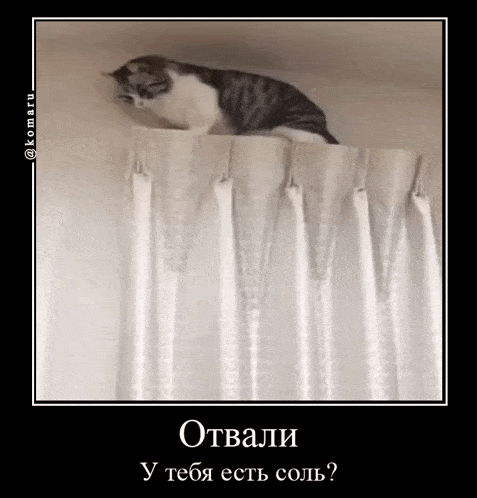 a cat sitting on top of a white curtain with a caption in russian